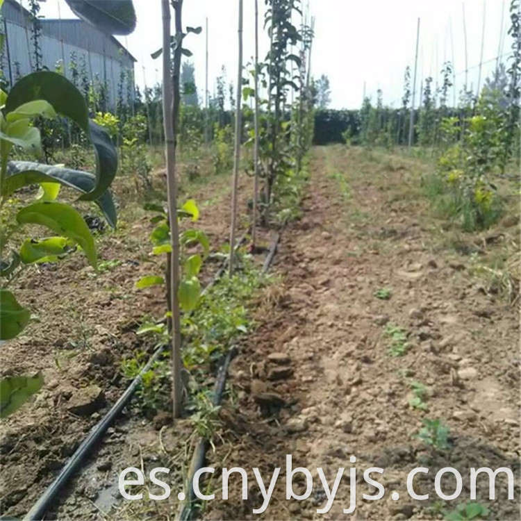 Drip Irrigation 87